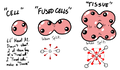 Concepts visuels des "Cells", "Fused Cells" et "Tissues", des ennemis prévus pour le Booster Pack mais annulés, par LeatherIceCream.